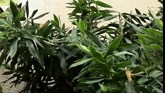 Kilolu kadın amına ve büyük göt deliğine sert yarak alıyor