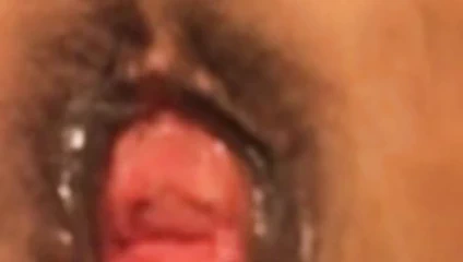 gilf ile şaşkın KEDİ