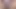 Islak amcık ortalığı dağıtıyor ve her yerine fışkırtıyor