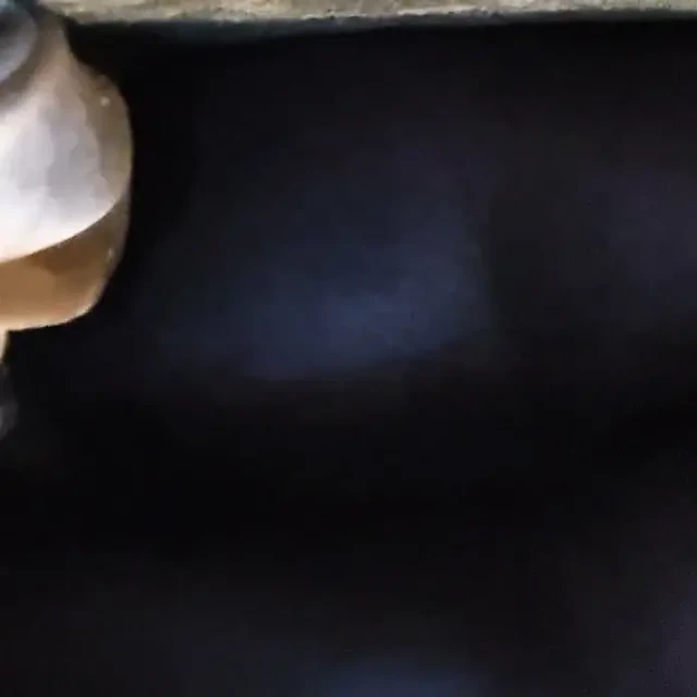 Şimdi orgazm olmak istiyorum