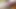 3 kız 2 büyük yarağı paylaşıyor, özensiz bjs, anal yumruk sokma, çifte penetrasyon ve anal dölleme