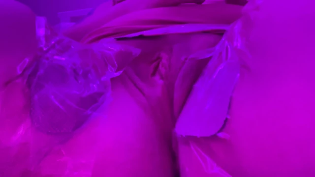 elektro şok kedi