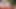 Michie ıslak anime kız 3d animasyon - büyük meme masajı inliyor, amcık yalıyor, sansürsüz hentai'de anal vibratör fışkırtıyor