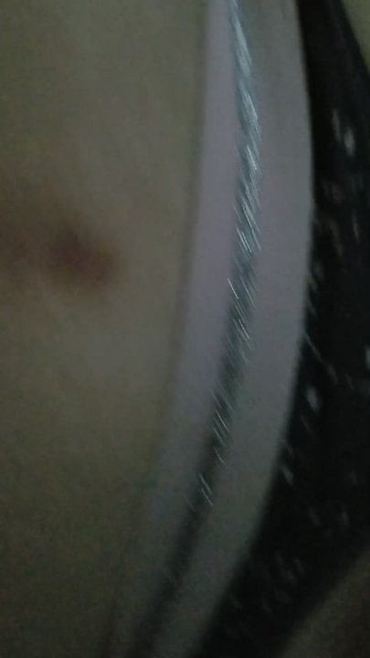 vurma kedi köpek