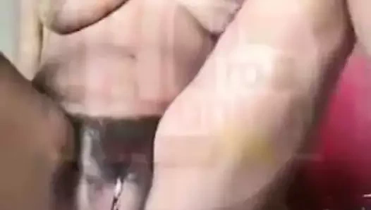 Beckey 2020 png en iyi kedi bölüm 2