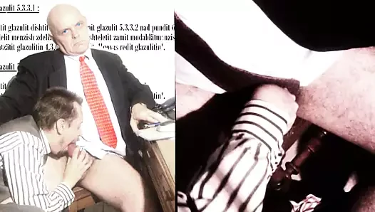 Glazulit (sözleşme hükümleri)