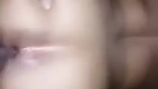 Coroa rabuda 2