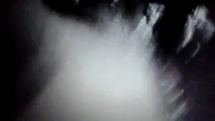 kedi içinde vibratör