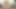 Abella Danger göt tıkacına sokuyor ve amını sert sikmek için bir oyuncak kullanıyor