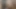 anal video