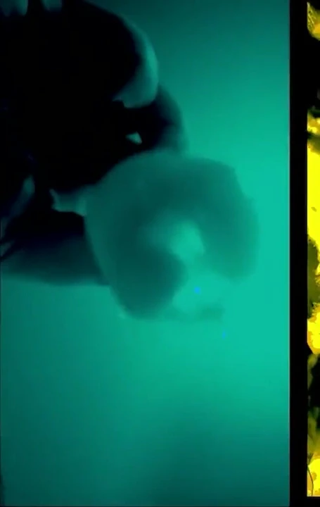 Acemi prezervatif boşaltma versiyonu için cei