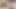 Minyon sarışın kısa süre önce 18 yaşına girdi ve şimdiden porno ilk çıkışını yapıyor