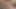 Zar oyunu joi - 12. gün