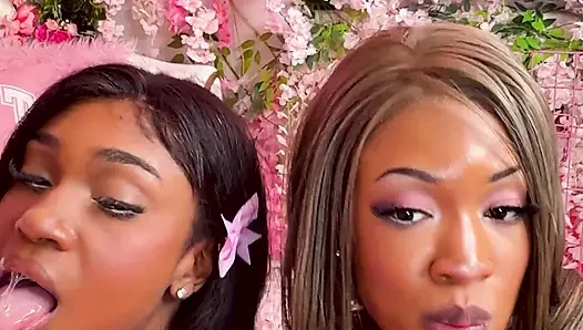 İtaatkar tatlı poppy ve lana memnun etmeyi ve işemeyi seviyor - dikey