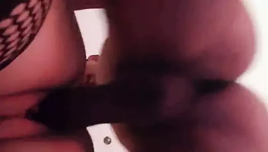 Sırp eş sürme büyük horoz