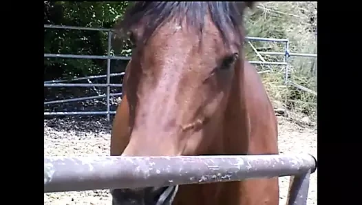 Aşırı oral seks - bölüm 2