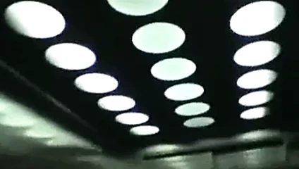 Asansörde azgın çift