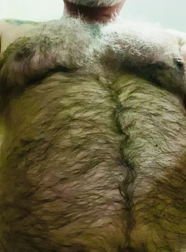 Aç küçük canavar ayı