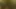 Hatun amcık yalamanın ve boşalmanın tadını çıkarıyor