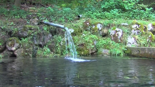 Echtes Paar fickt vor der Kamera, TG