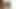 Anal seks ve eşek ağıza Casey Calvert'in eğlence anlayışıdır