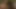 Havuz başında oyuncak oyunu ve fışkırtma ile ateşli lezbiyen dörtlü seks