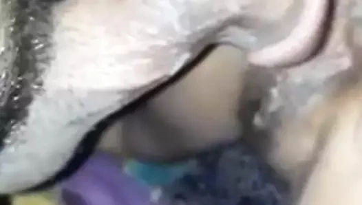 Rola estilo cavalo marinho