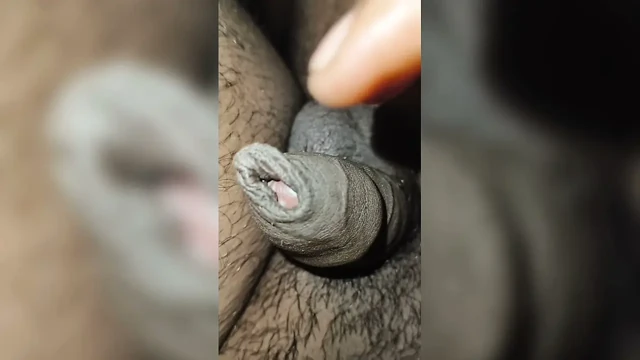 Tamil erkek penis mevcut