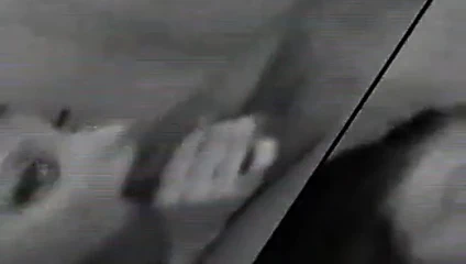 Jordan Fleiss derlemesi