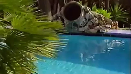 Hint hottie rashneen kerim - koram açık seks