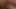 Hintli kız arkadan anal seks yapıyor