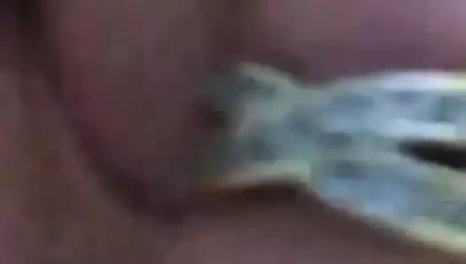 Benim için fışkıran webcam kız!