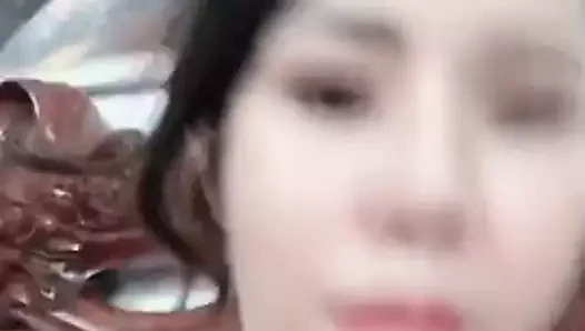 Vietnamlı göğüsler