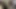 Ya temizlikçi kadını sikiyor ya da tantaly'm...