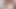 Genç mormon alay ve çarptım raw ve sert tarafından dik baba