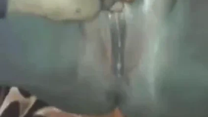 Sri lankalı yaşlı kedi çocuk tarafından arı bal tedavi alır (komik)