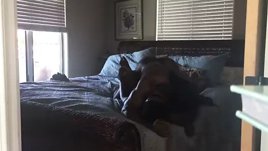 siyah süper kahramanlar