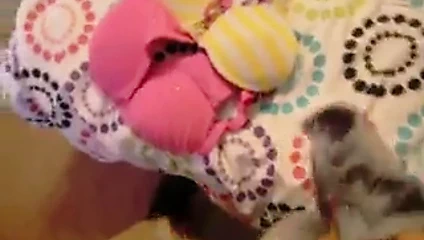 Adım kızları sütyen