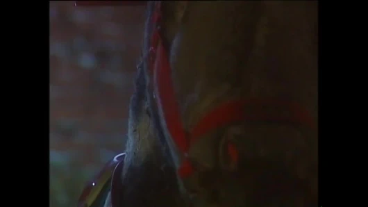 Erotische Marchen - (full hd film - orijinal kesilmemiş versiyon)