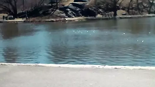 Huhleer adalet belgeseli. benim amerika doğumlu Faslı oğlum