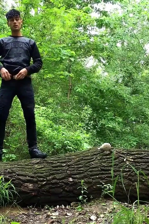 Bir ağaç gövdesinden işiyor