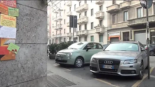 Mahallenin domuzları