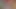 xhamster üzerinde kurbağa fındıkxxx