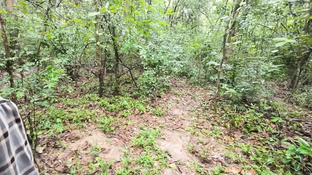Thai girl walks and brags about picking mushrooms anyway, peeing in the forest Thai Voice