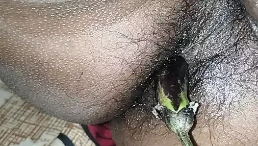 Ajke Amar Husband Er Pachai Begun Vore Delam