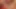Muhteşem porno yıldızı lezbiyenler kırmızı kanepede grup seks yapıyor