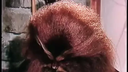 güzellik ve canavar parodisi