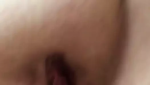 Brittany oynama ile ona kedi