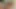 Seksi kaltak iki yarağı deniyor