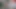 Güzel koyu çikolata transeksüel gösterilen büyük çük